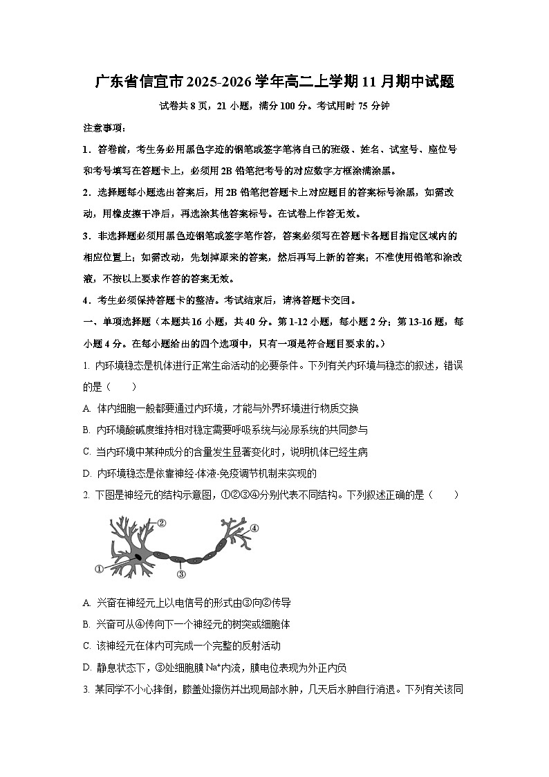 【生物】广东省信宜市2025-2026学年高二上学期11月期中试题（学生版）第1页