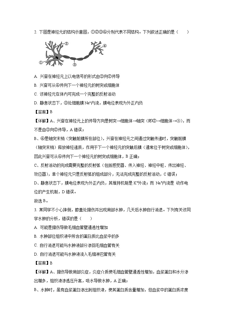 【生物】广东省信宜市2025-2026学年高二上学期11月期中试题（解析版）第2页