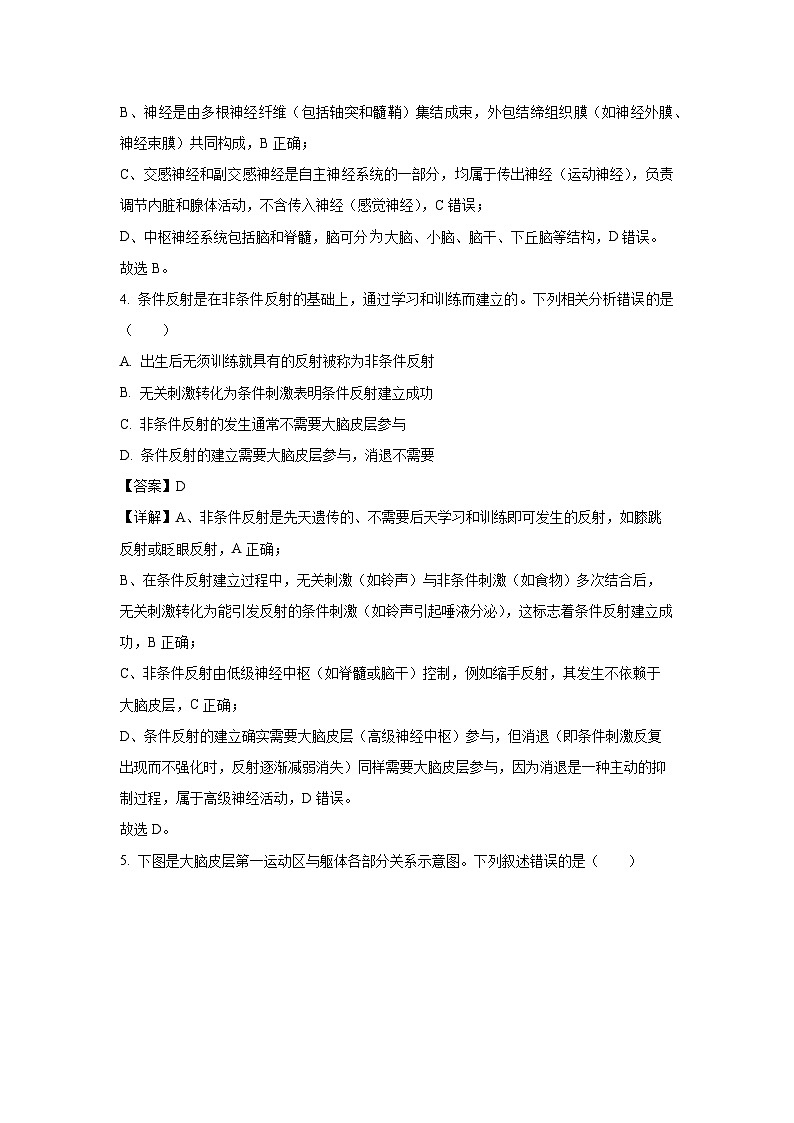 【生物】河北省邢台市卓越联盟2025-2026学年高二上学期12月期中试题（解析版）第3页