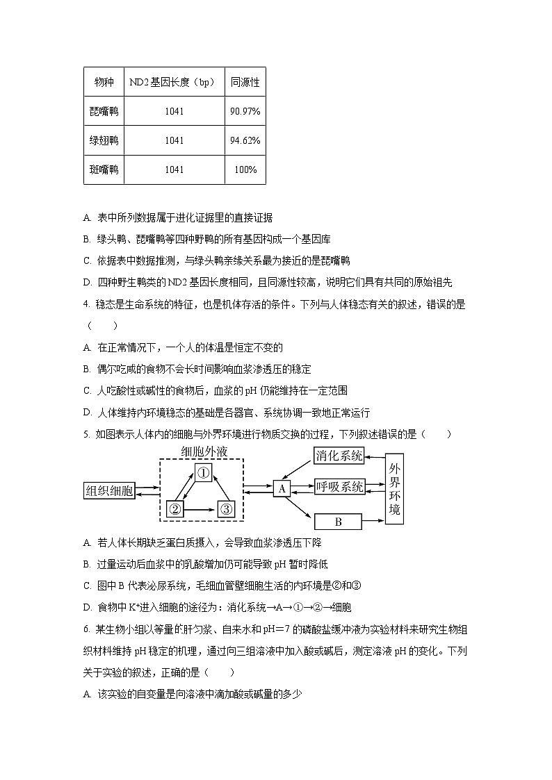 【生物】湖北省宜昌市部分省级示范高中2025-2026学年高二上学期期中考试试题（学生版）第2页