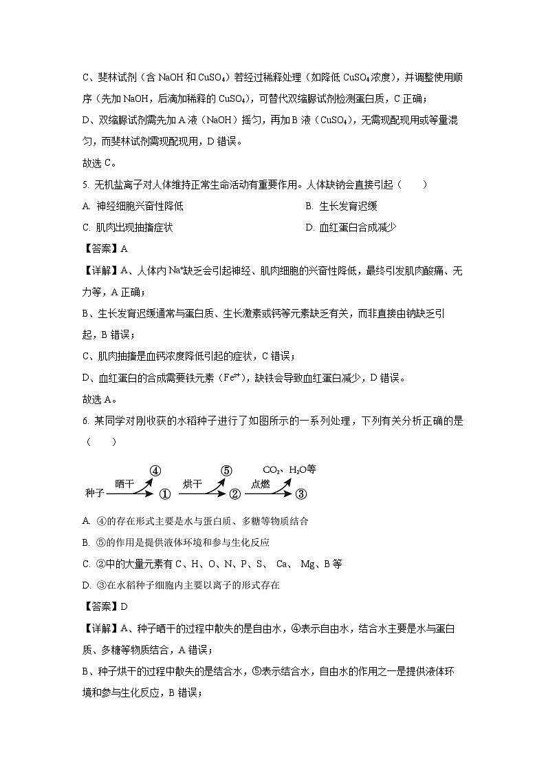 【生物】湖南省湘一名校联盟2025-2026学年高一上学期11月期中试题（解析版）第3页