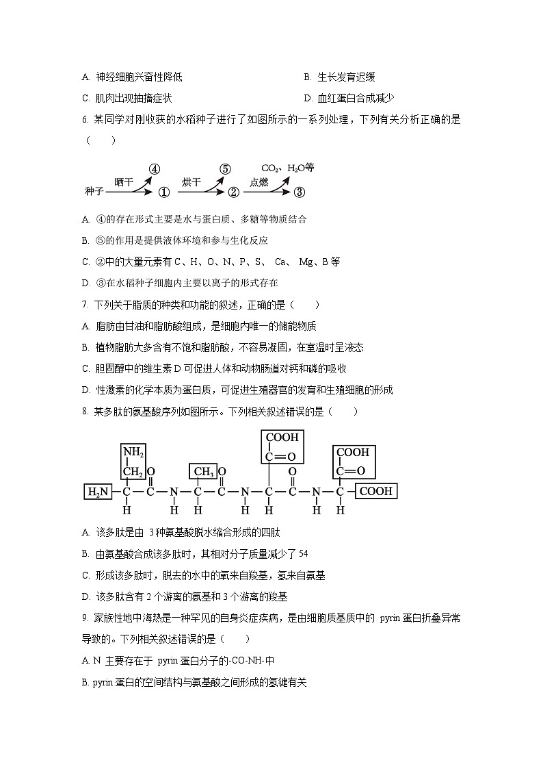 【生物】湖南省湘一名校联盟2025-2026学年高一上学期11月期中试题（学生版）第2页