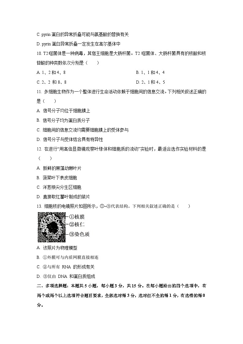 【生物】湖南省湘一名校联盟2025-2026学年高一上学期11月期中试题（学生版）第3页