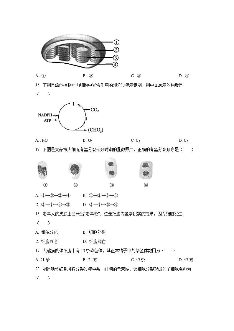 【生物】江苏省盐城市2025-2026学年高二上学期学业水平合格性考试模拟试题（学生版）第3页