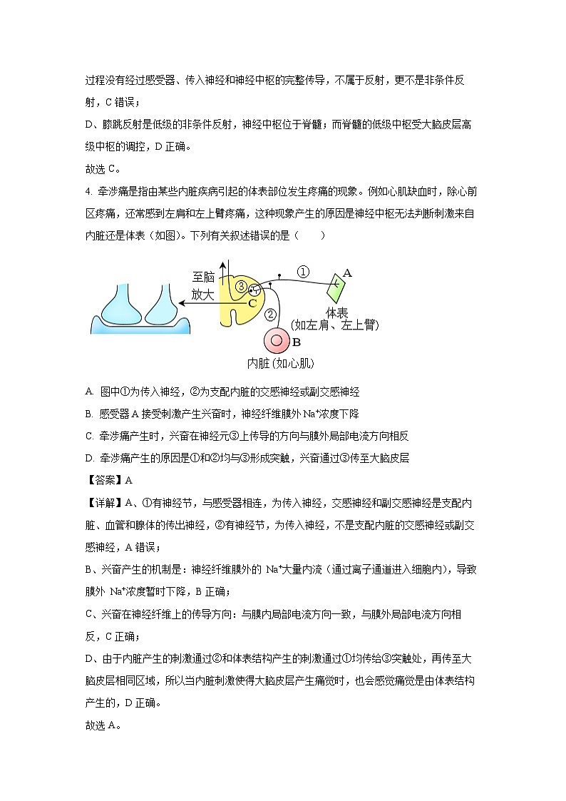 【生物】山东省济宁市兖州区2025-2026学年高二上学期期中试题（解析版）第3页