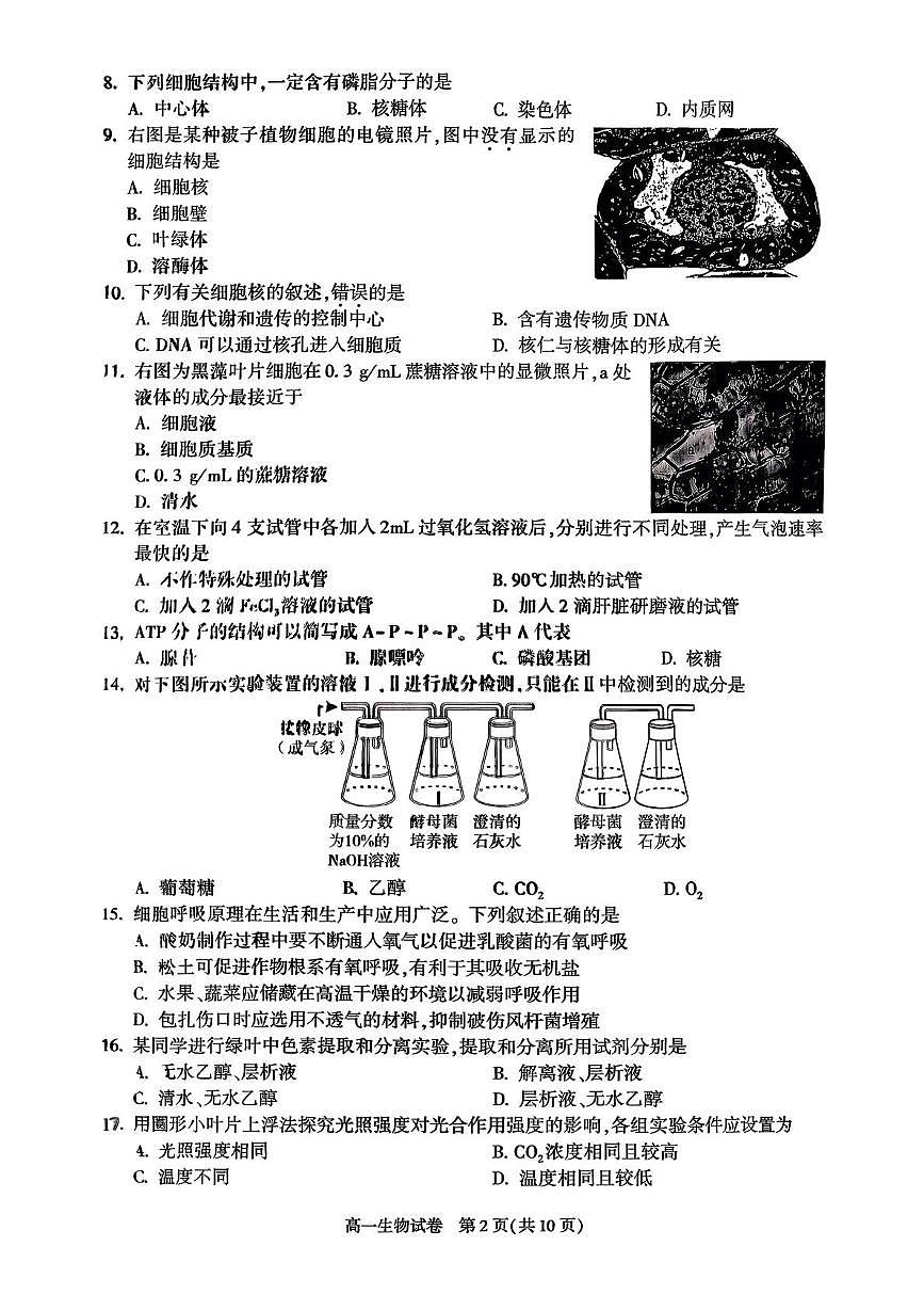 北京市朝阳区2025-2026学年高一上学期期末考试生物试题第2页