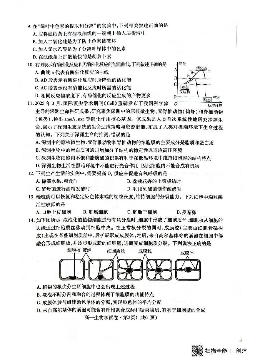 青海省西宁市2025-2026学年高一上学期期末调研测试生物试卷第3页