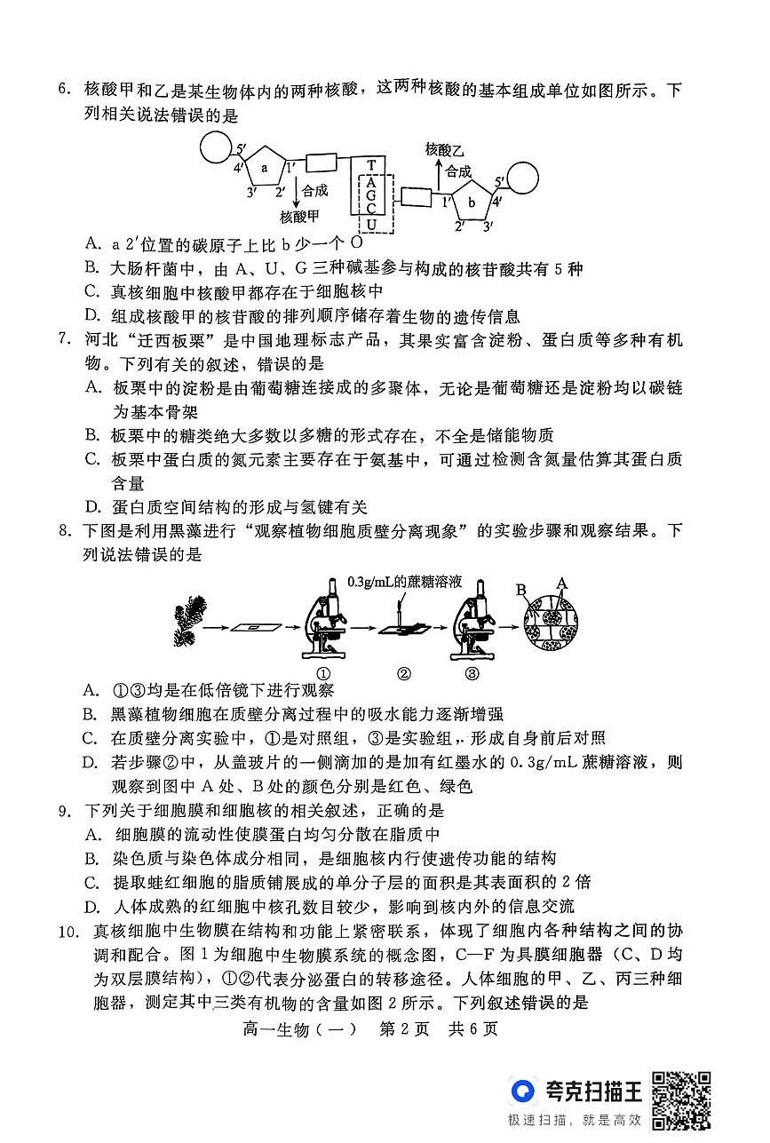 山西省临汾市2025-2026学年高一上学期期末质量检测生物试题第2页