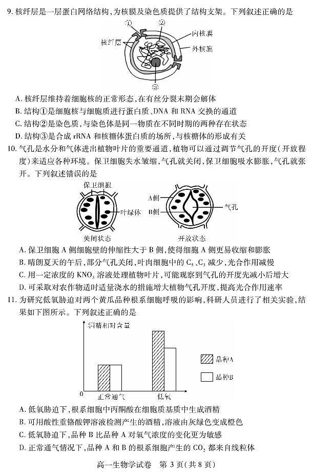 湖北省黄石市2025春季学期高一期末统一测试生物试卷（无答案）第3页