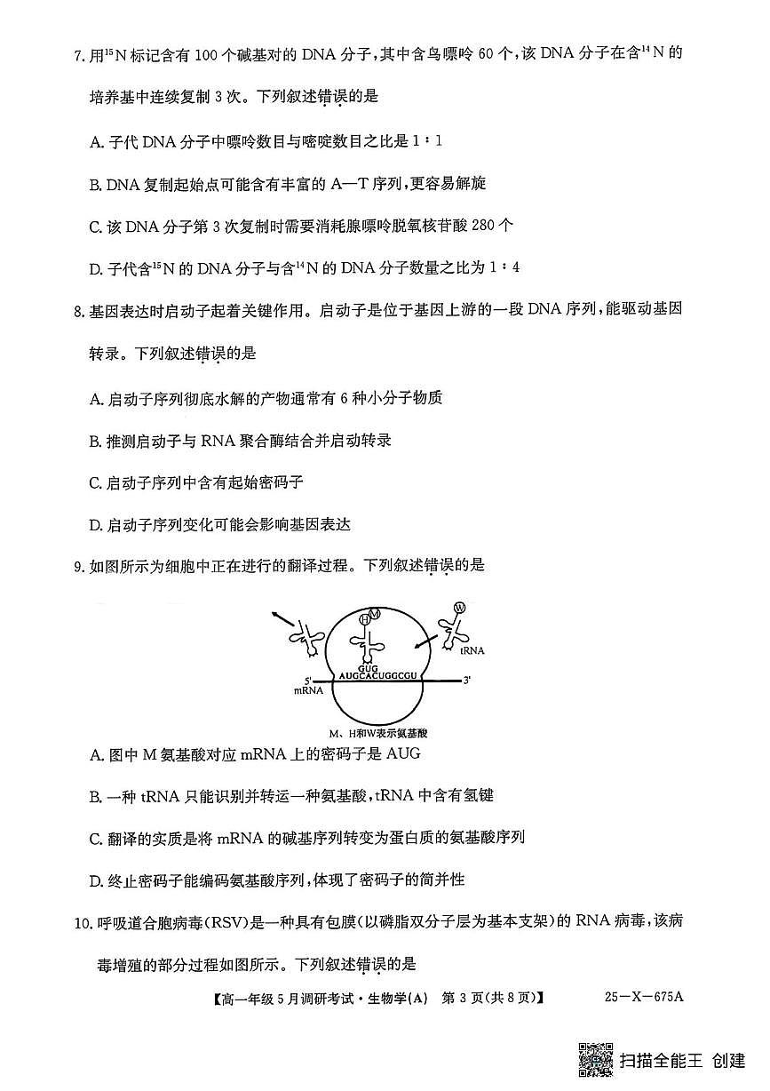 河南省TOP二十名校2024-2025学年高一下学期5月调研考试生物试卷（无答案）第3页