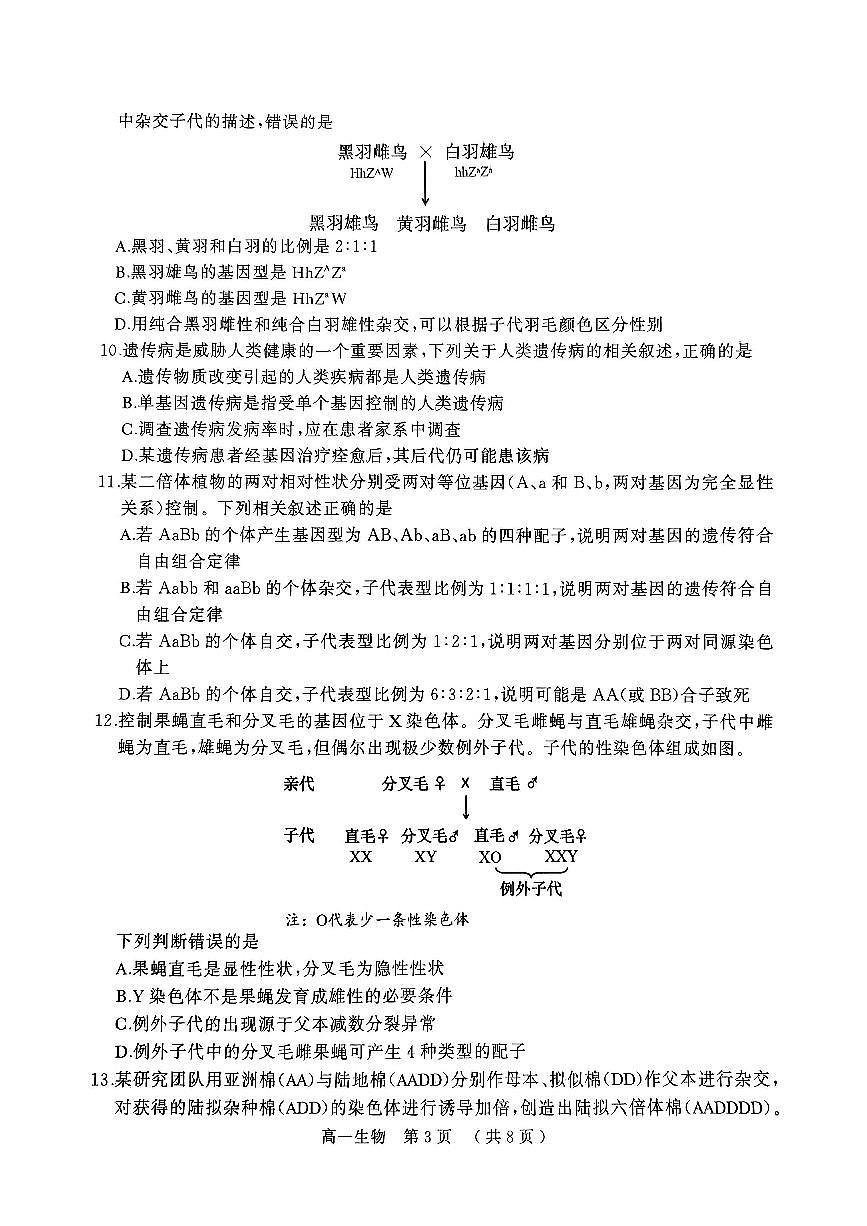河南省驻马店市2024~2025学年度高一下学期期末质量监测生物试题 （无答案）第3页