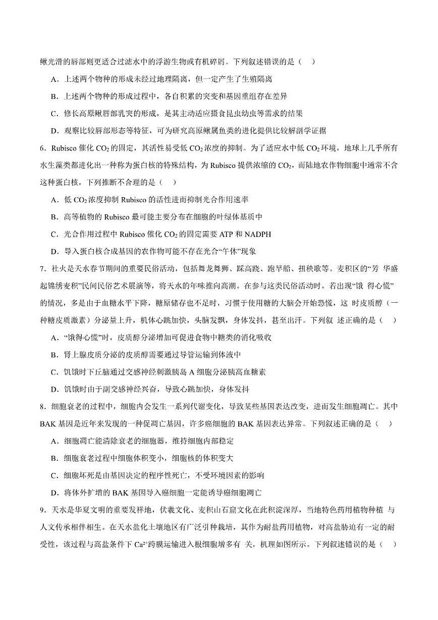 2026届甘肃省天水市麦积区高三上学期1月期末考试生物试卷（含答案）第2页