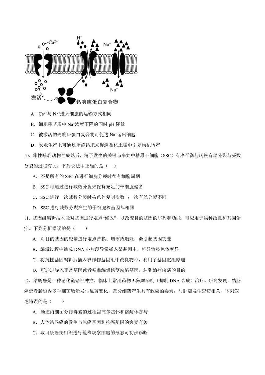 2026届甘肃省天水市麦积区高三上学期1月期末考试生物试卷（含答案）第3页