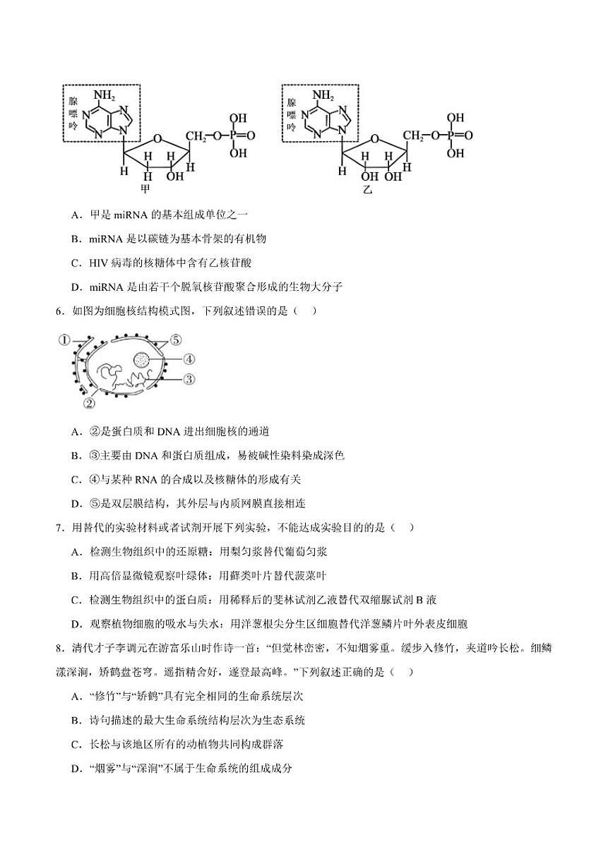 2025-2026学年广西玉林市八校高一上学期12月联合调研测试生物试卷（含答案）第2页