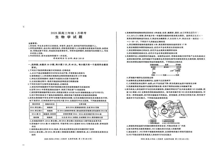 2025-2026学年山西省晋中市部分学校高三上学期1月测试生物试题（含解析）第1页