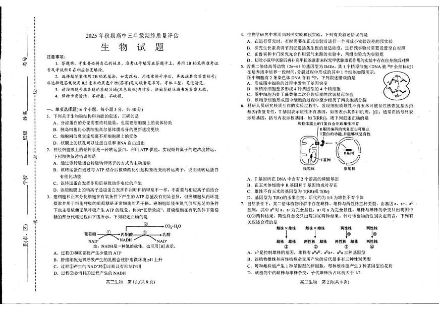 2025-2026学年河南省南阳市高三上学期期末考试生物试题（含答案）第1页