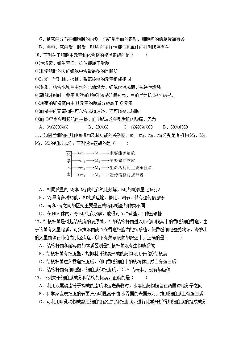 四川省成都市石室中学2024-2025学年高一上学期12月期中试题生物试卷（无答案）第3页