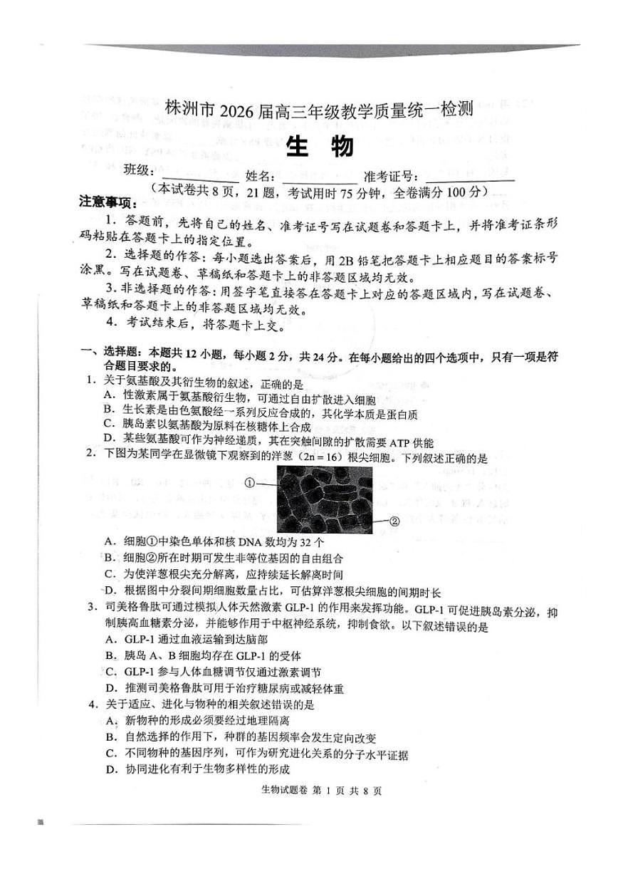 2025-2026学年湖南省株洲市高三上学期一模生物试题（含答案）第1页