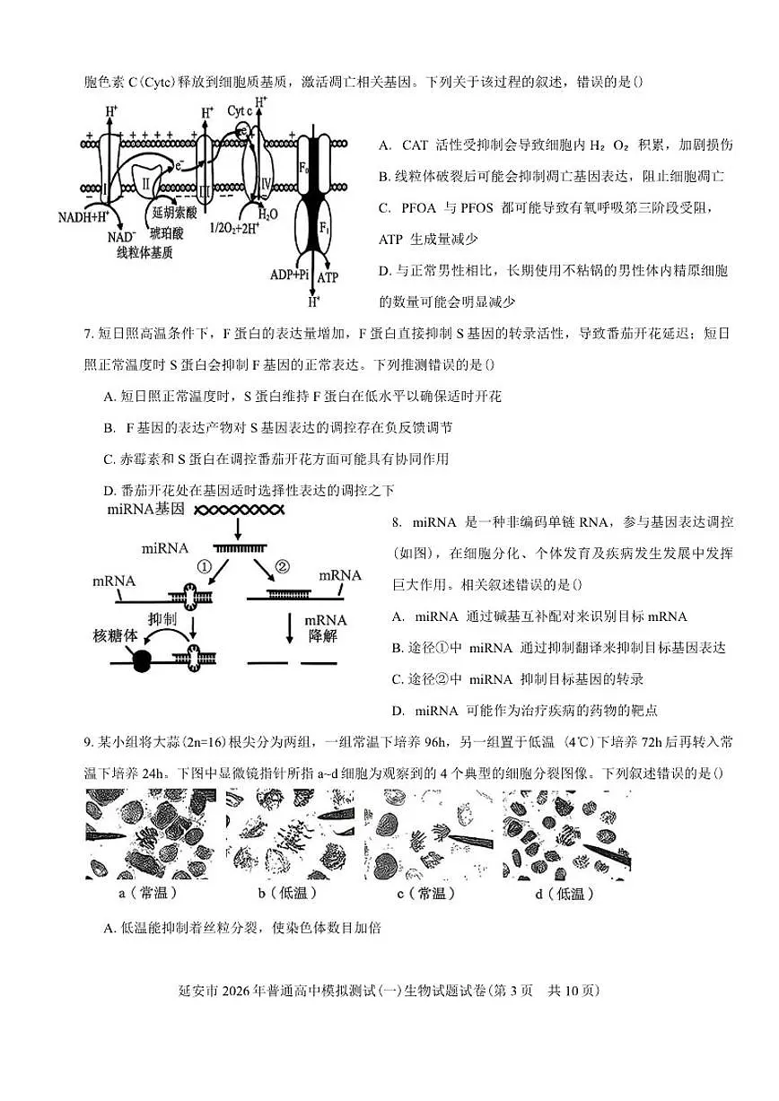 陕西省延安市2026年普通高中模拟测试(一)生物试题（含答案）第3页