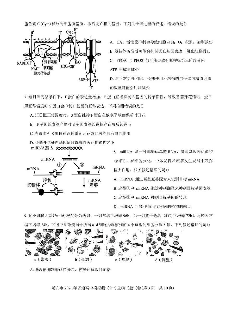 陕西省延安市2026年普通高中模拟测试(一)生物试题（含答案）第3页