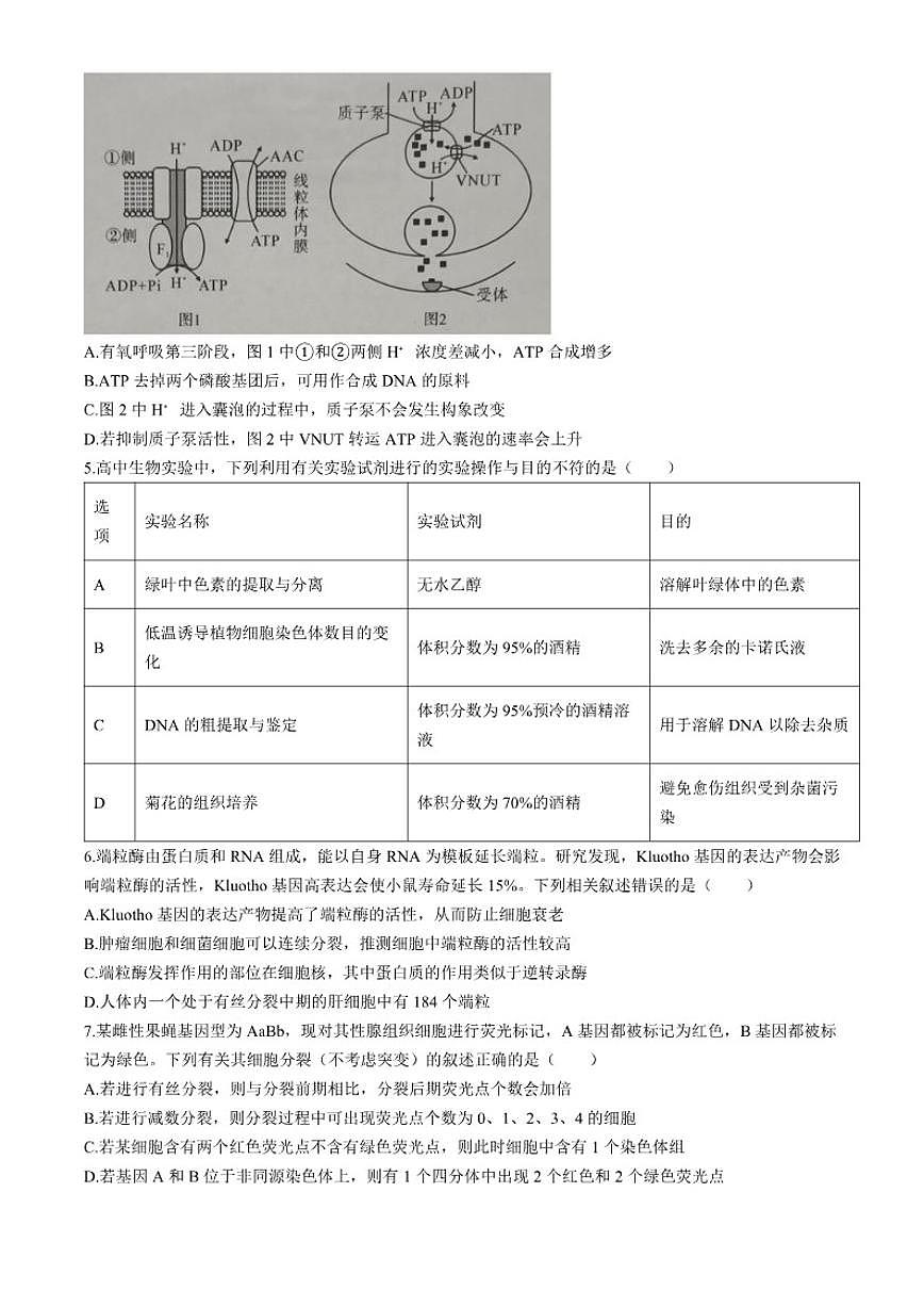 2026届湖北省孝感市教科研楚天协作体高三上学期一模生物试题（含答案）第2页