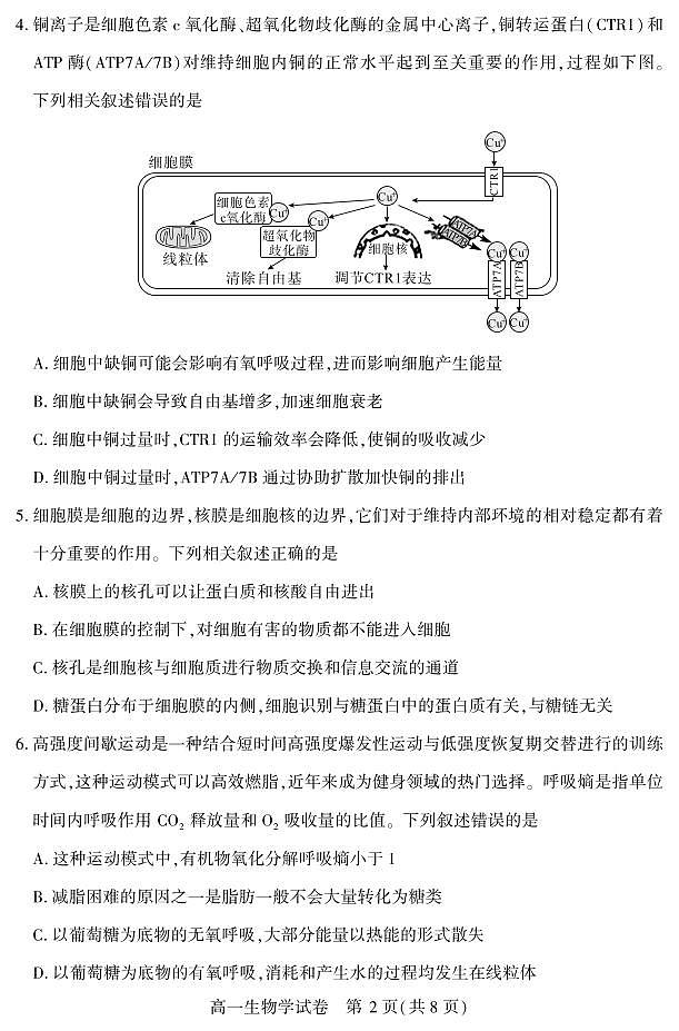 湖北省恩施州普通高中2024-2025学年高一质量监测考试生物试卷（无答案）第2页