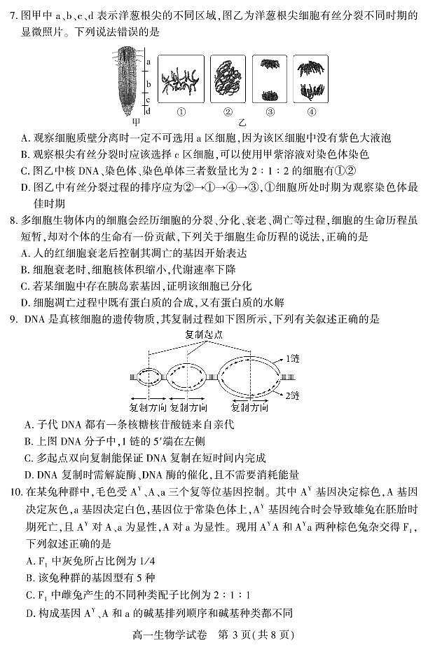湖北省恩施州普通高中2024-2025学年高一质量监测考试生物试卷（无答案）第3页