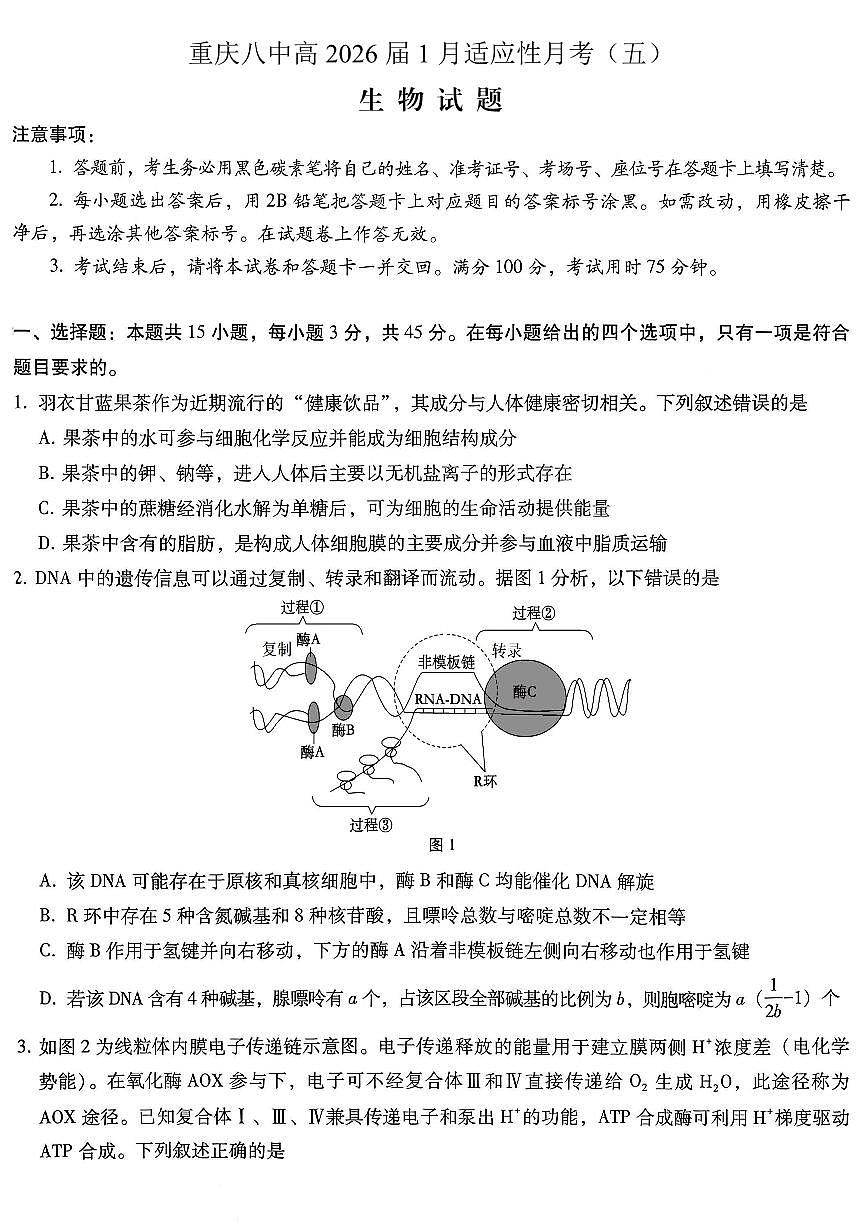 重庆市第八中学2026届高三上学期1月高考适应性月考卷五（一诊）生物试卷（含解析）第1页