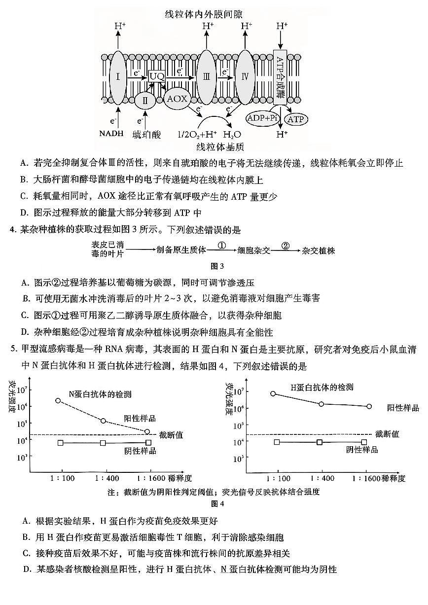 重庆市第八中学2026届高三上学期1月高考适应性月考卷五（一诊）生物试卷（含解析）第2页