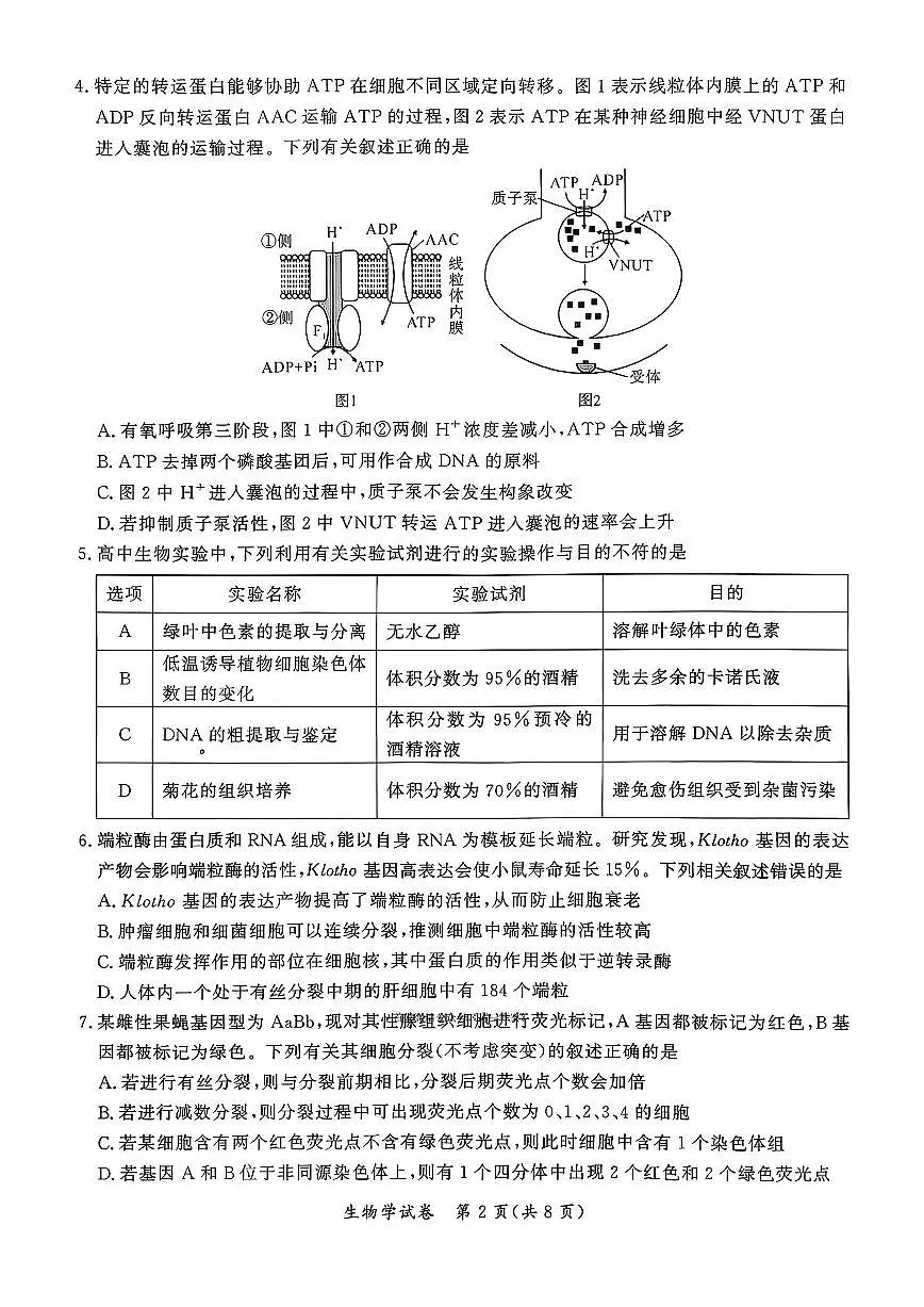 2026届孝感高三上学期1月期末生物试题及答案第2页