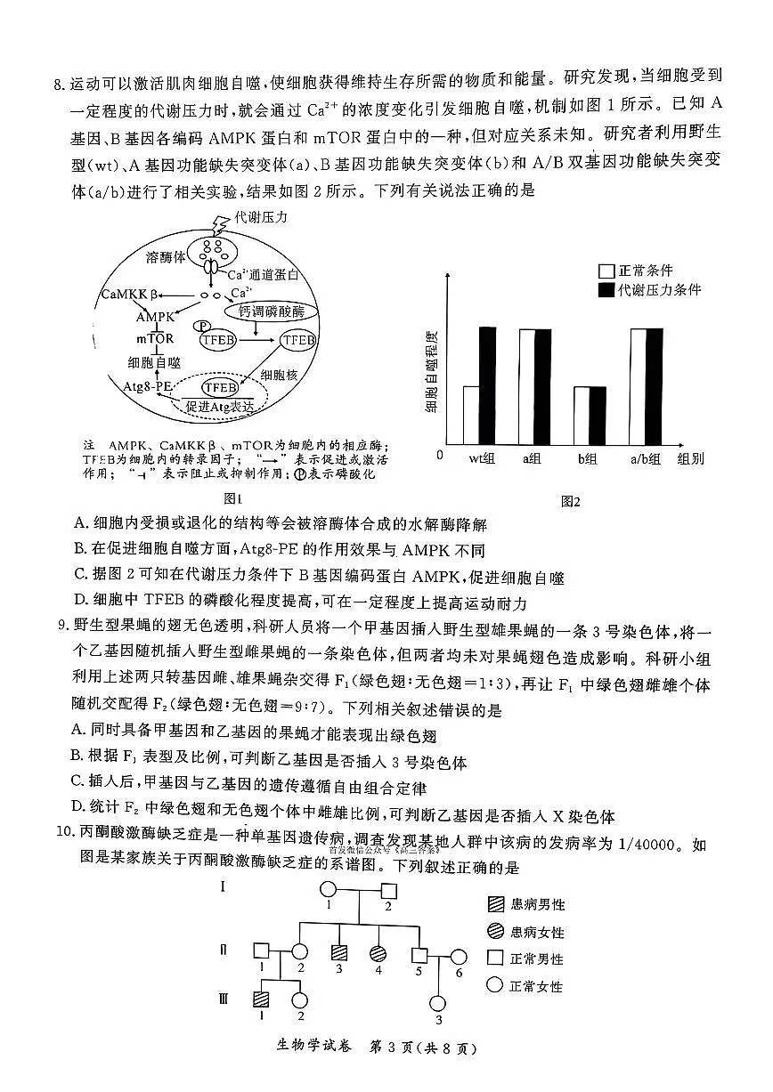 2026届孝感高三上学期1月期末生物试题及答案第3页