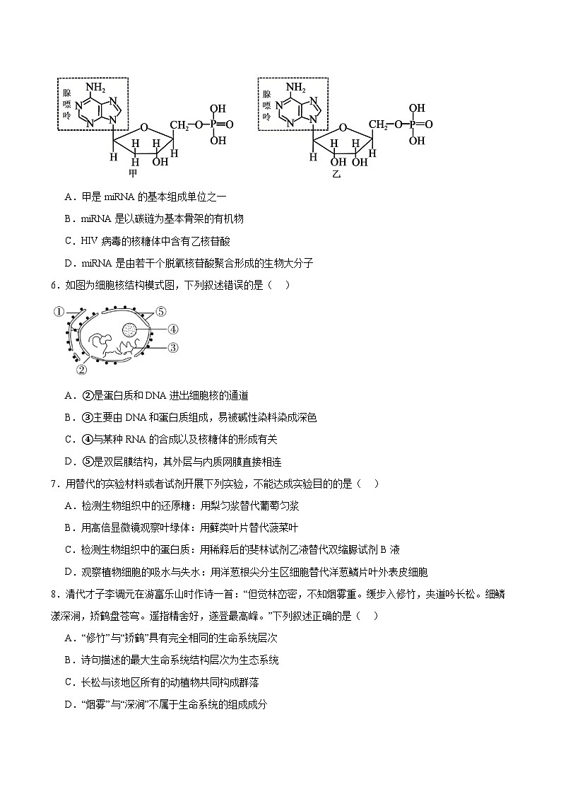 广西玉林市八校2025-2026学年高一上学期12月联合调研测试生物试卷（含答案）第2页