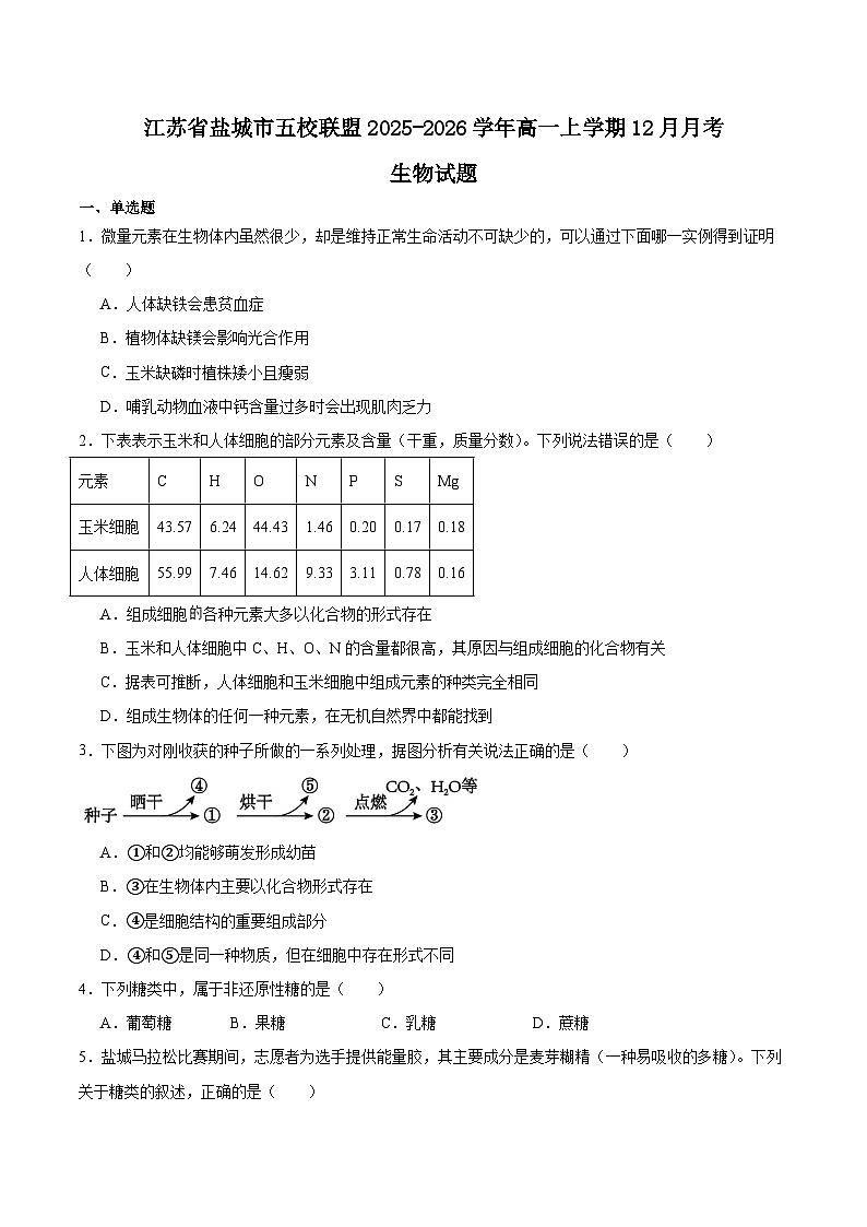 江苏省盐城市五校联盟2025-2026学年高一上学期12月联考生物试题（Word版附答案）第1页