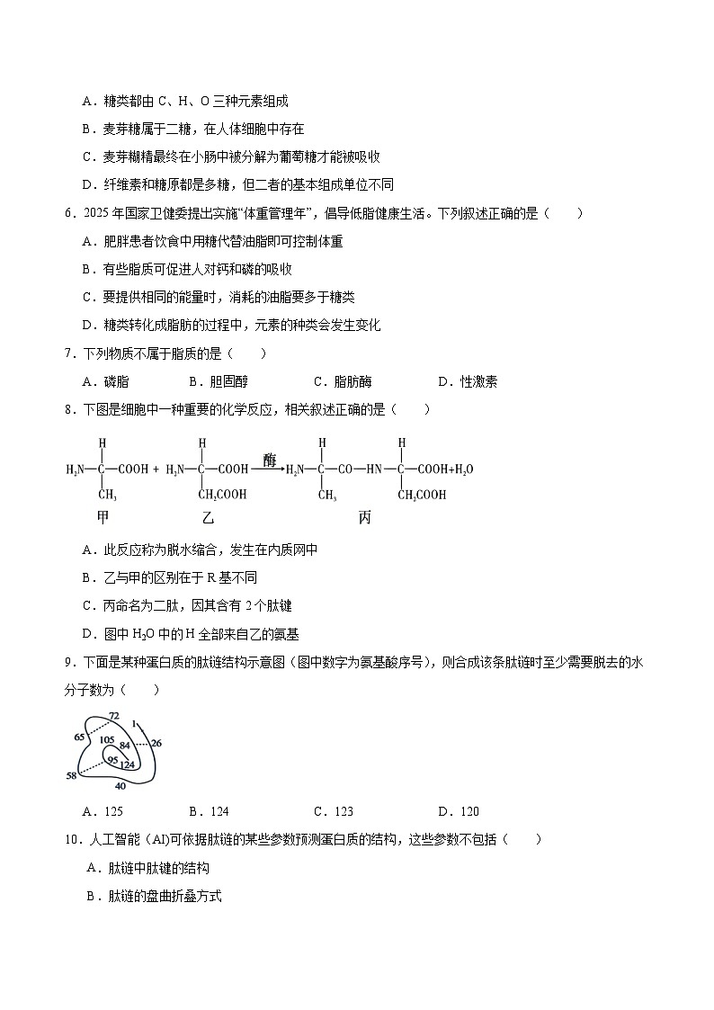江苏省盐城市五校联盟2025-2026学年高一上学期12月联考生物试题（Word版附答案）第2页