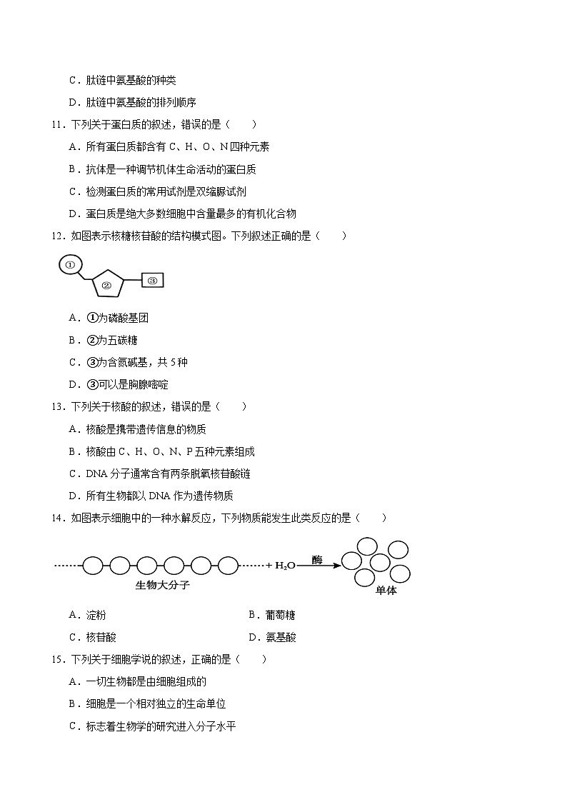江苏省盐城市五校联盟2025-2026学年高一上学期12月联考生物试题（Word版附答案）第3页