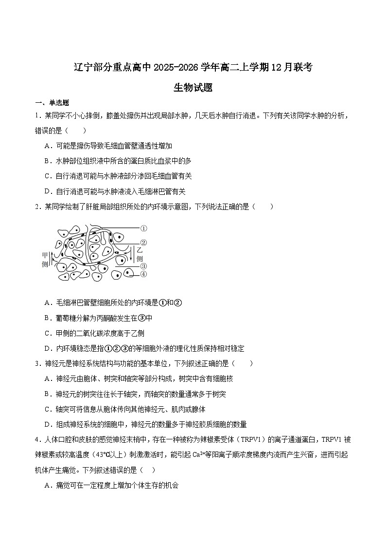 辽宁省部分重点高中2025-2026学年高二上学期12月联考生物试题（Word版附答案）第1页