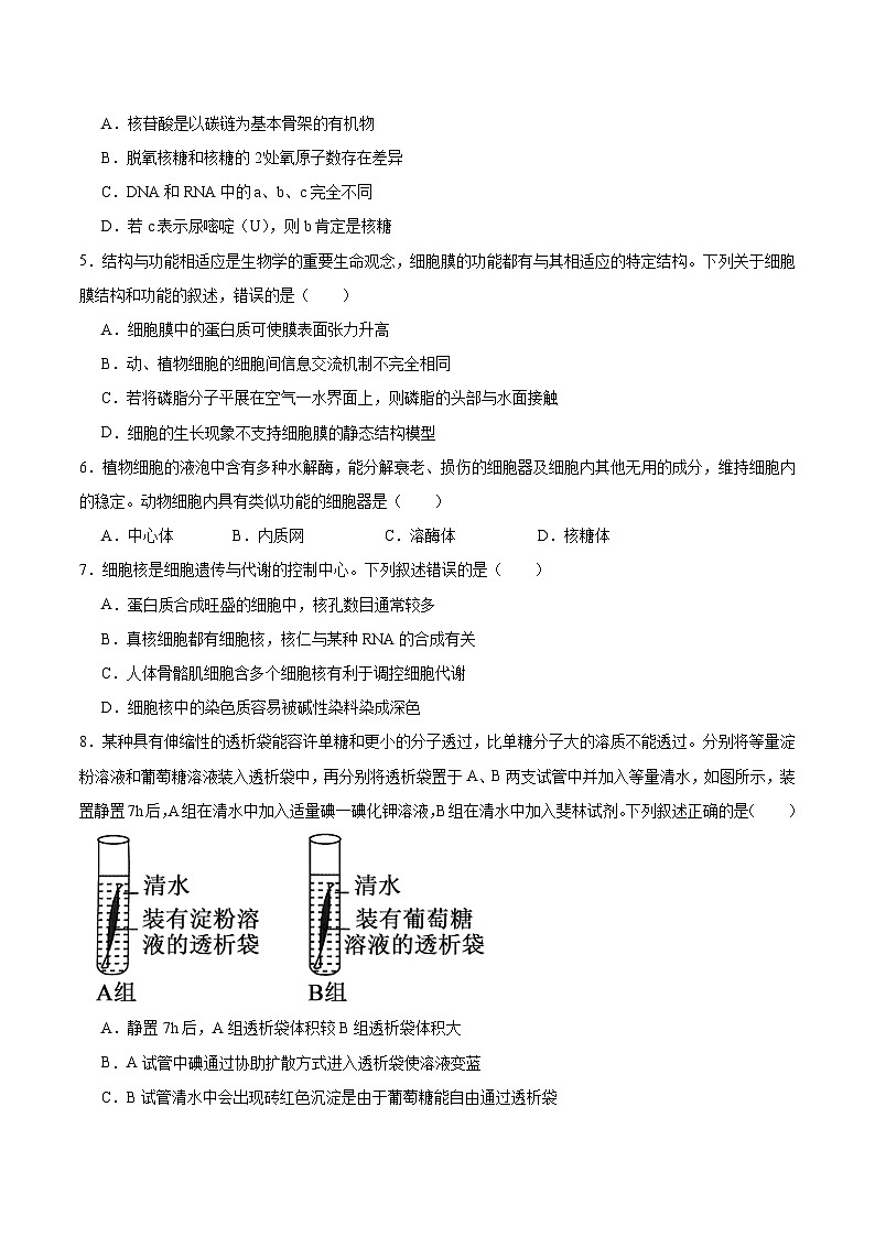 山西省吕梁市2025-2026学年高一上学期12月冲刺考生物试题（Word版附答案）第2页