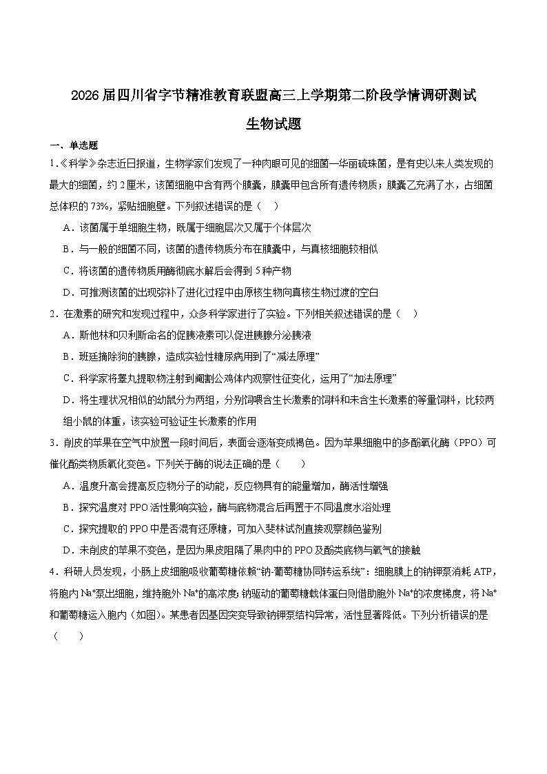 四川省字节精准教育联盟2026届高三上学期1月第二阶段学情调研测试生物试题（Word版附答案）第1页