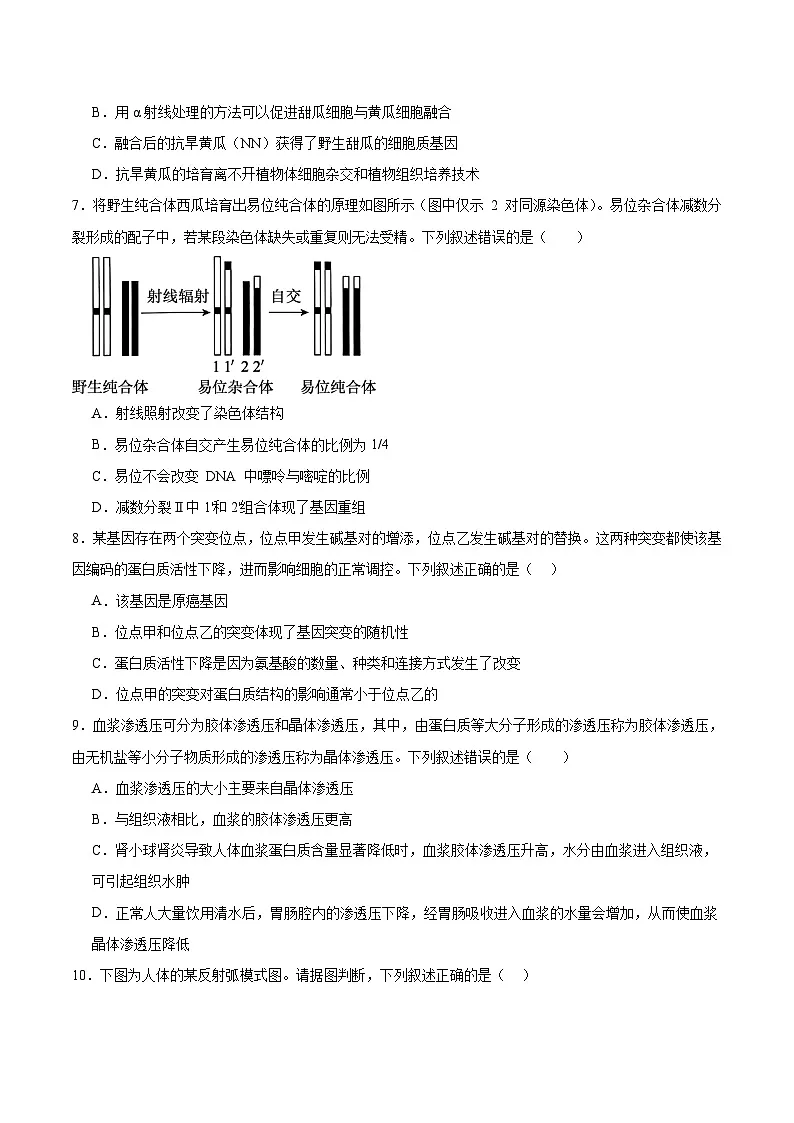 四川省字节精准教育联盟2026届高三上学期1月第二阶段学情调研测试生物试题（Word版附答案）第3页