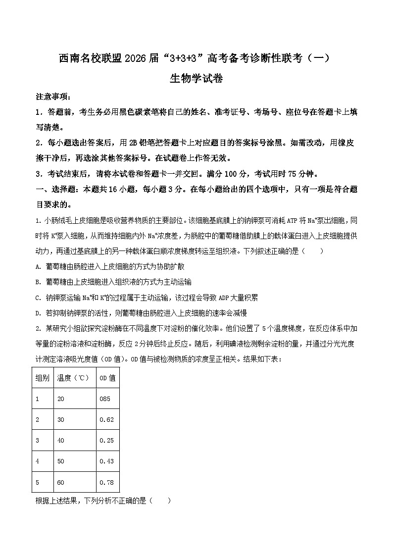 西南名校联盟2026届高三上学期“333”高考备考诊断性联考（一）生物试题（Word版附答案）第1页
