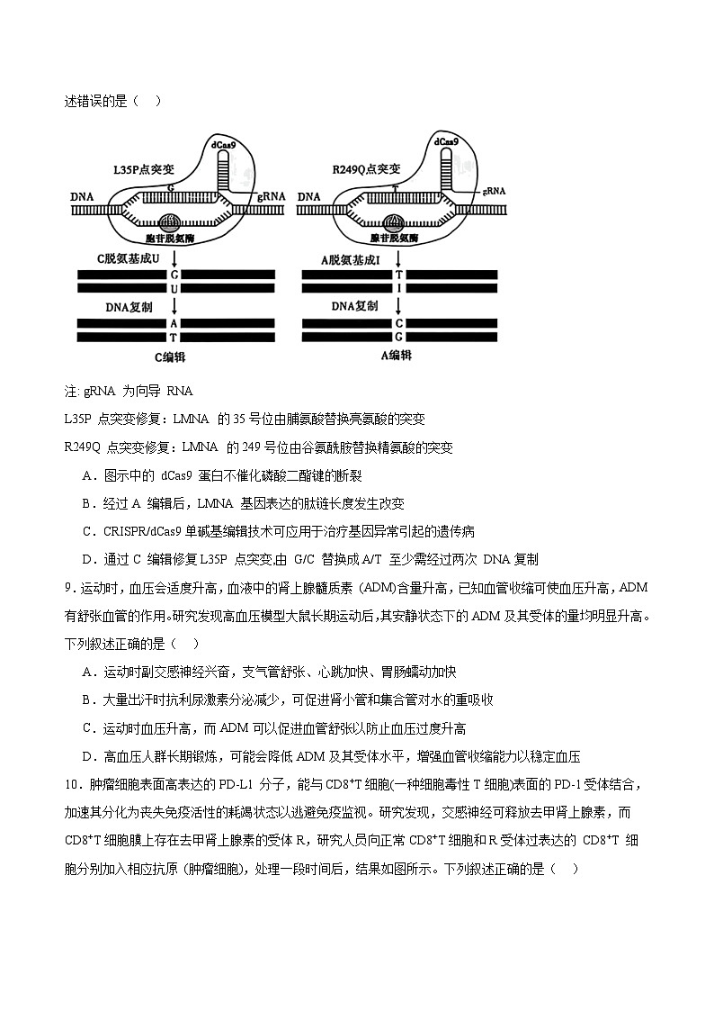 河南省豫西北教研联盟（平许济洛）2026届高三上学期1月质量检测生物试卷（Word版附答案）第3页