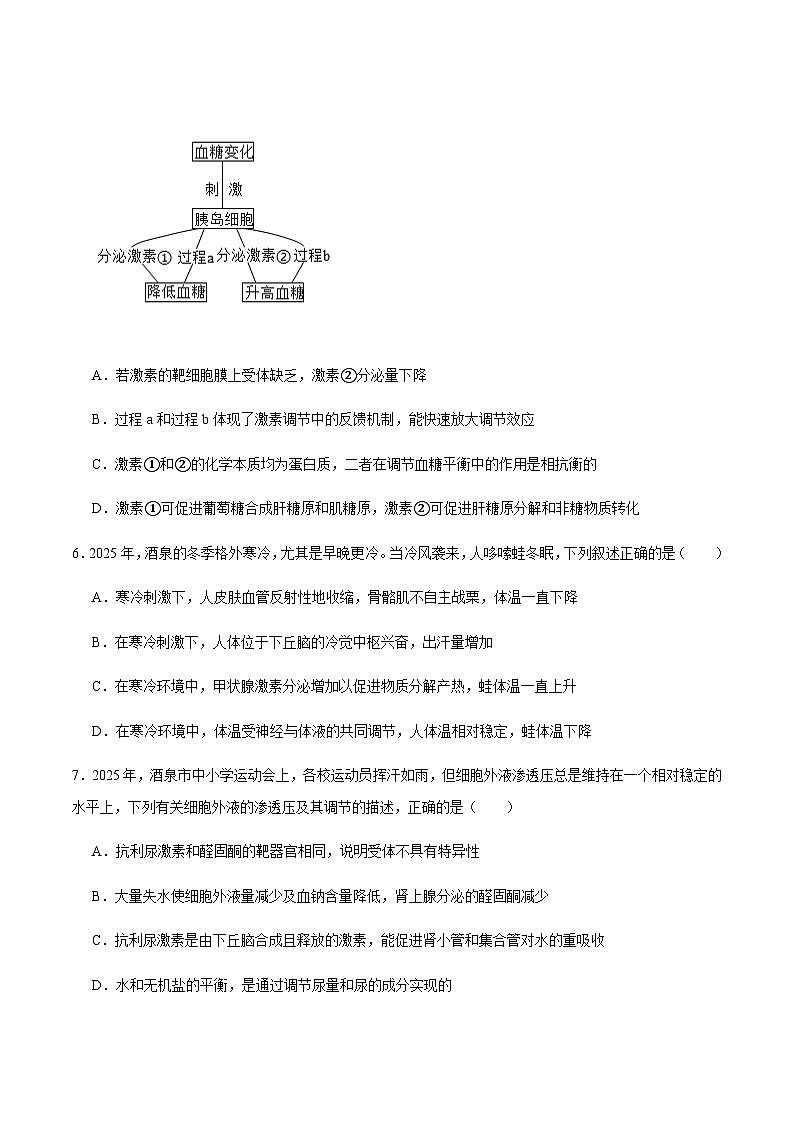 甘肃省酒泉市普通高中2025-2026学年高二上学期1月期末考试生物试卷（含答案）第3页