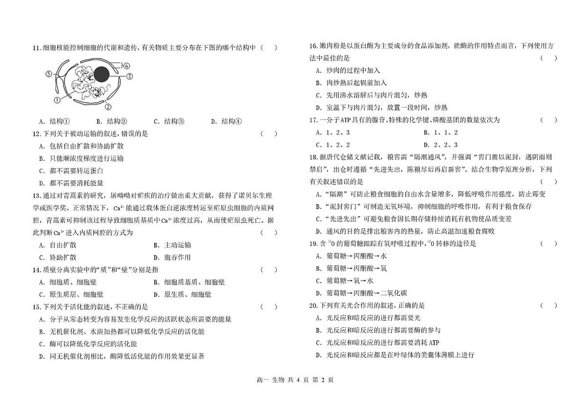 甘肃省兰州市八校联考2025-2026学年高一上学期期末考试生物试卷(图片版含答案)第2页