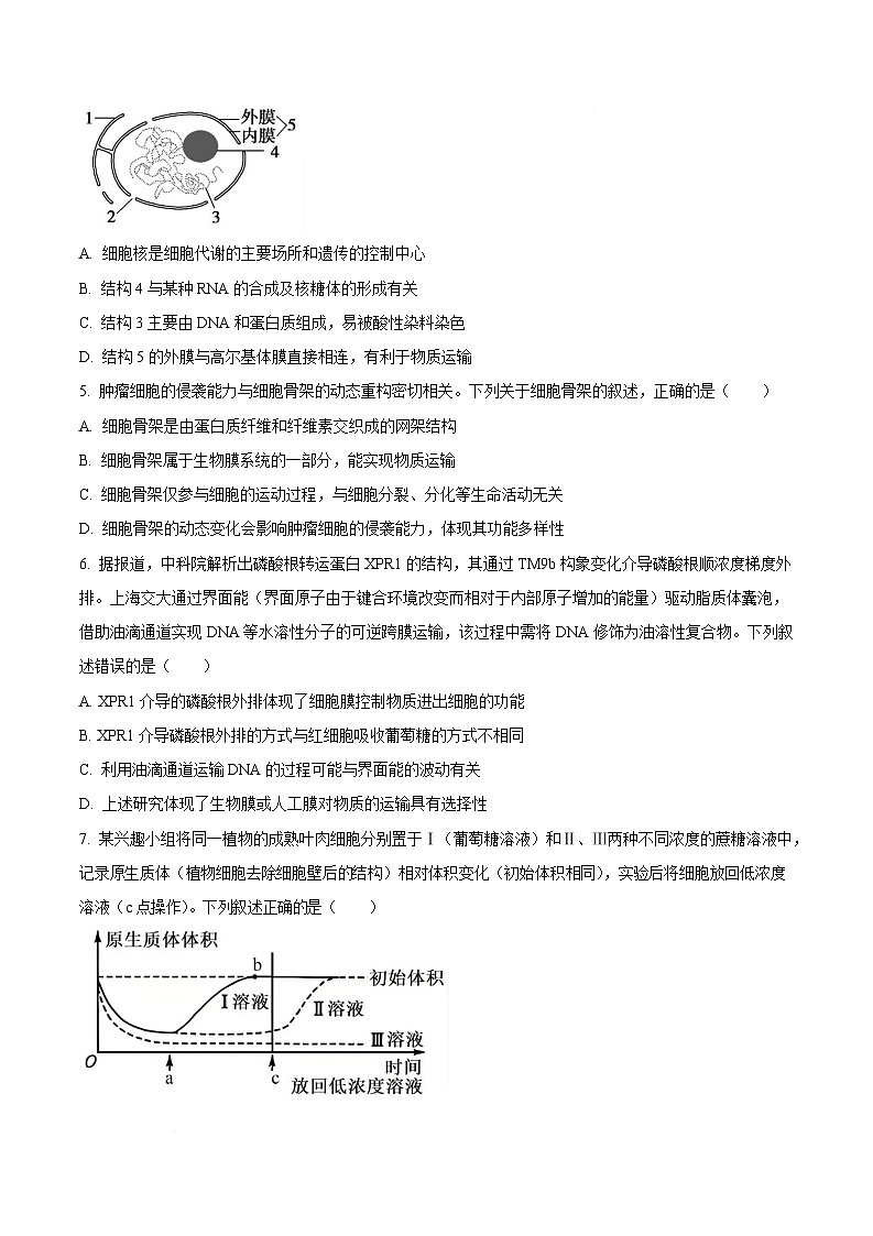 黑龙江省齐齐哈尔市部分学校2025-2026学年高一上学期1月期末生物试卷（含答案）第2页