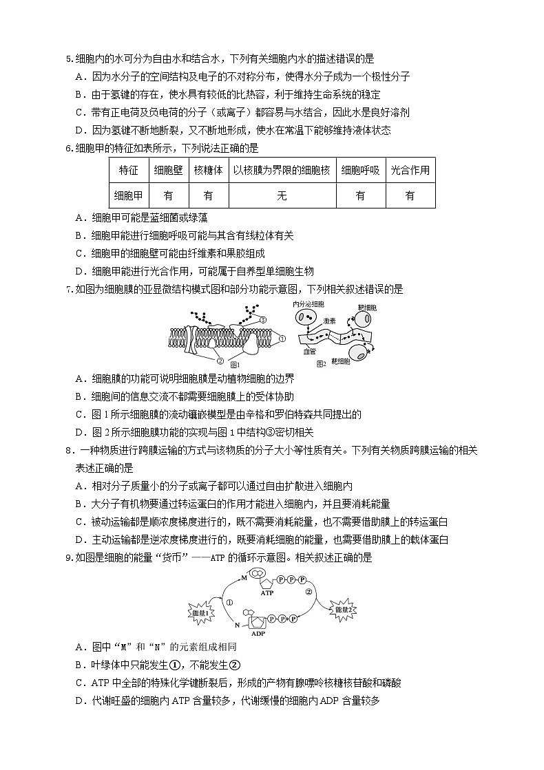 吉林省长春外国语学校2025-2026学年高一上学期期末考试生物试题（ 含答案）第2页