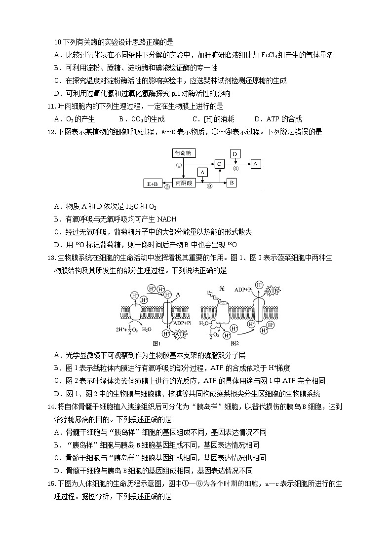 吉林省长春外国语学校2025-2026学年高一上学期期末考试生物试题（ 含答案）第3页