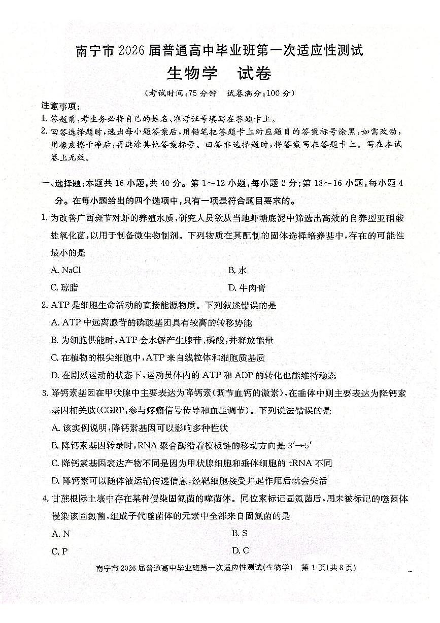 南宁市2026届普通高中毕业班第一次适应性测试生物第1页