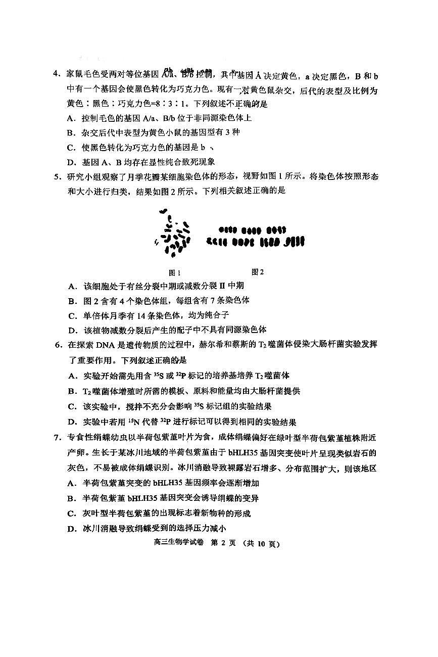 2026北京石景山高三（上）期末生物试卷 无答案第2页