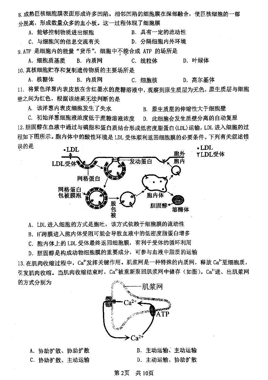 2026北京一零一中高一（上）期末生物试卷   有答案第2页