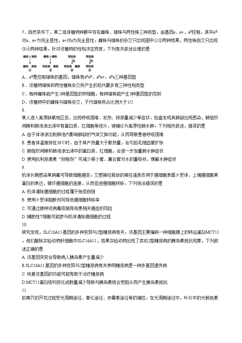 河南省南阳市2025_2026学年高三上学期1月期末生物试题（文字版，含答案）第3页